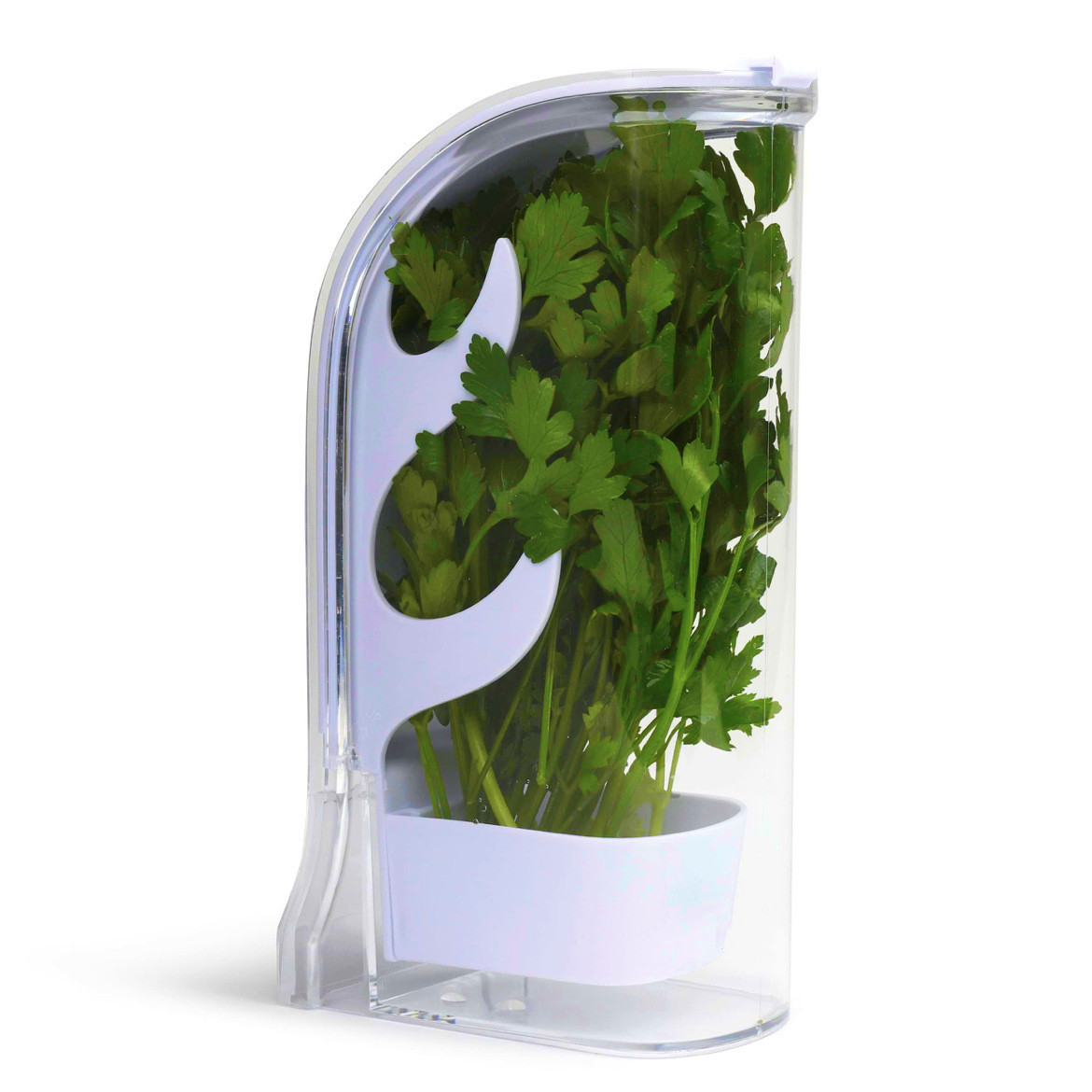 Herb Crisper Saver Container R - مراجعة Kitchen Gadgets Modern وسعره