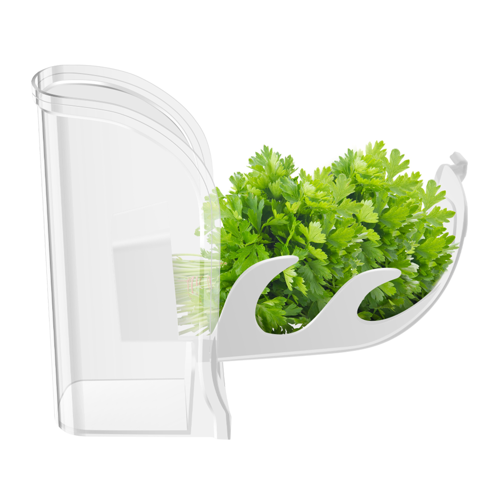 Herb Crisper Saver Container R - مراجعة Kitchen Gadgets Modern وسعره