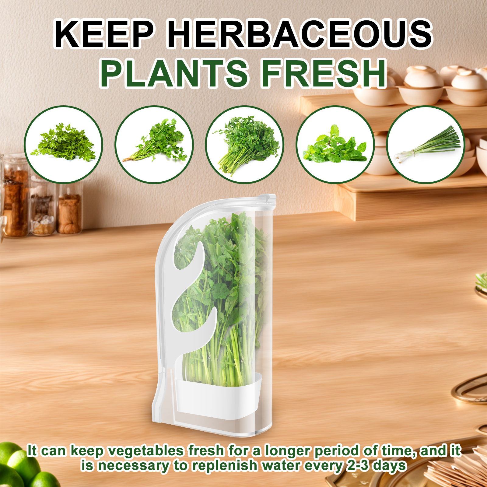 Herb Crisper Saver Container R - مراجعة Kitchen Gadgets Modern وسعره