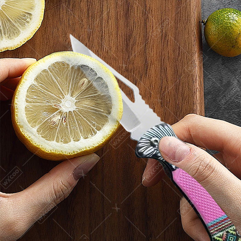 WXCOO Folding Knife Stainless  - مراجعة Kitchen Gadgets Sale وسعره
