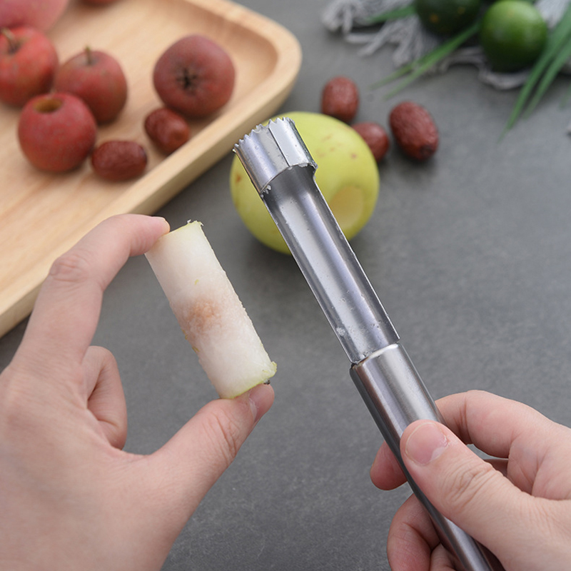 Stainless Steel Fruit Corer Ap - مراجعة Kitchen Gadget Amazon وسعره