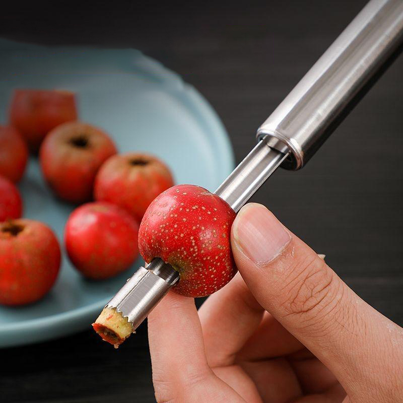 Stainless Steel Fruit Corer Ap - مراجعة Kitchen Gadget Amazon وسعره