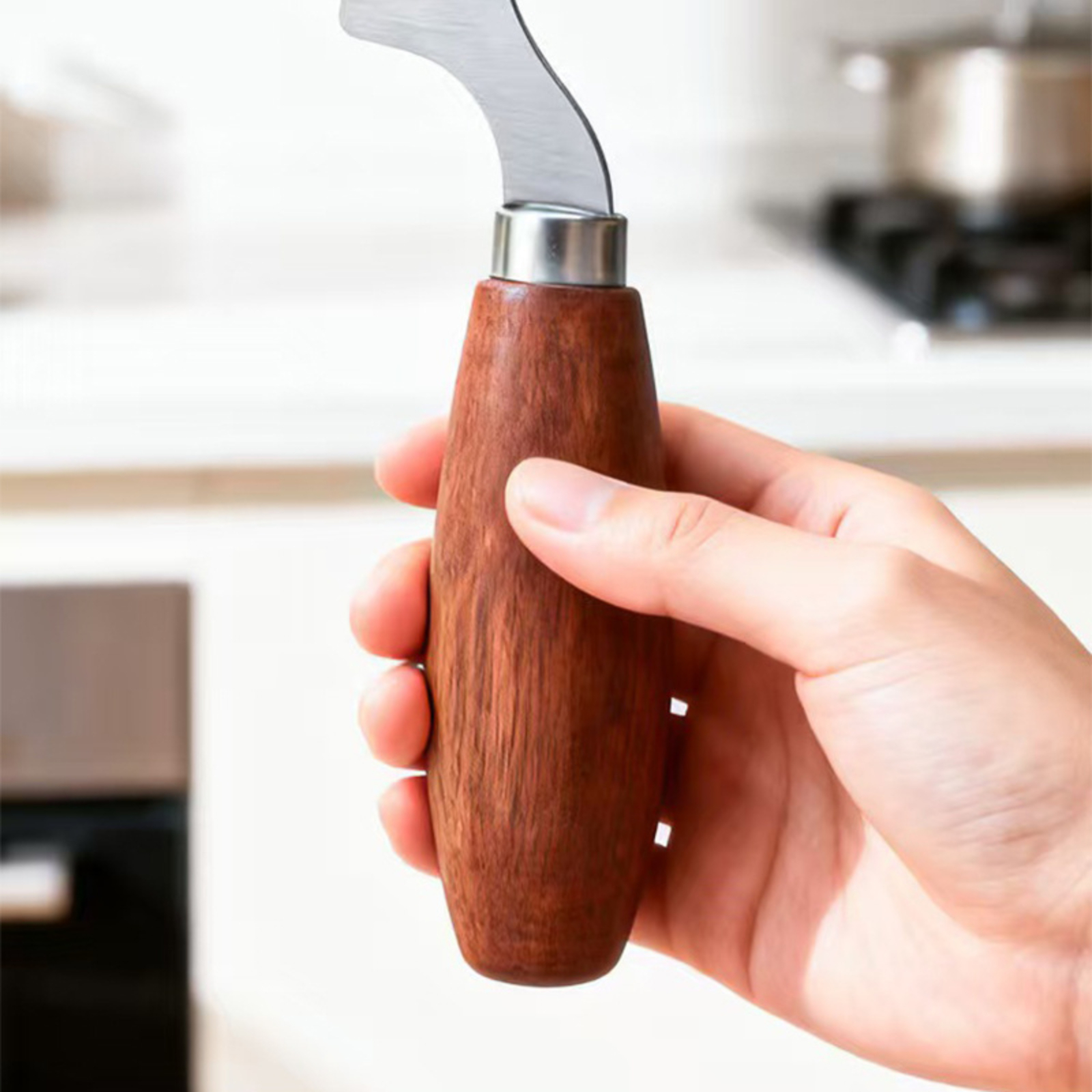 Stainless Steel Green Onion Sl - مراجعة Kitchen Gadgets Green وسعره